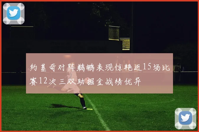 约基奇对阵鹈鹕表现惊艳近15场比赛12次三双助掘金战绩优异