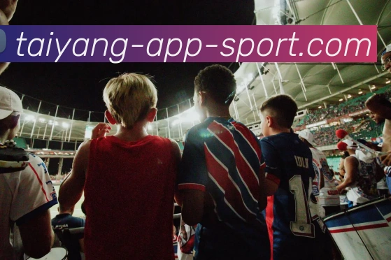 太阳城平台生态图